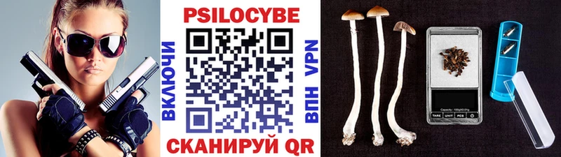 магазин продажи   Нефтегорск  Галлюциногенные грибы Psilocybe 